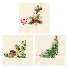 Hoffmaster 831350 5" Winter Watercolors Beverage Napkins - 3 Designs - 2 Ply